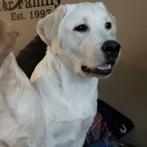 Meet your Posher, Dariene